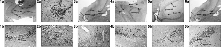 Fig. 8