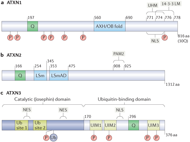 Figure 3 |