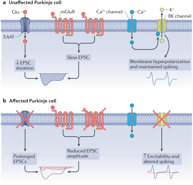 Figure 4 |