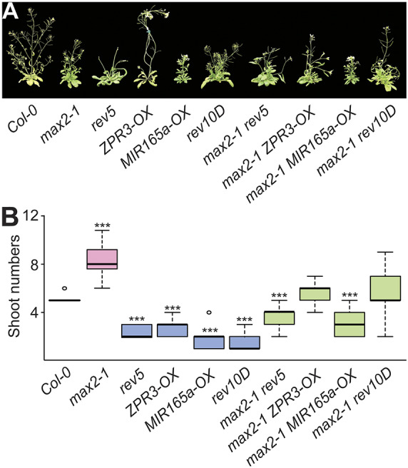 Fig. 3.