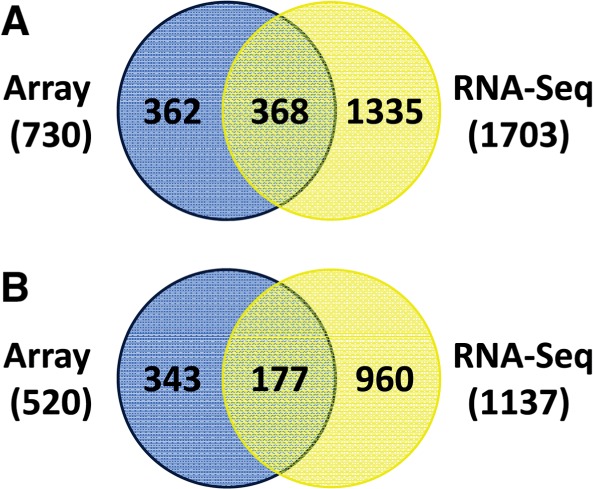 Figure 11.