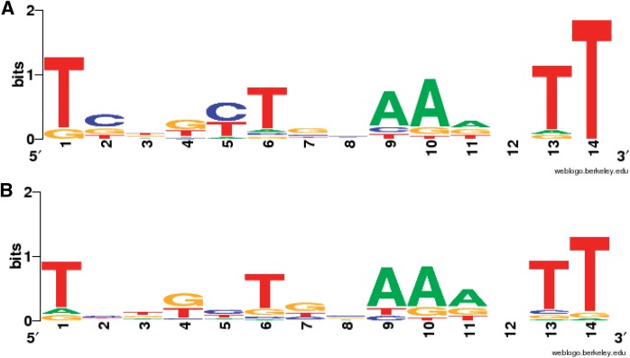 Figure 10.