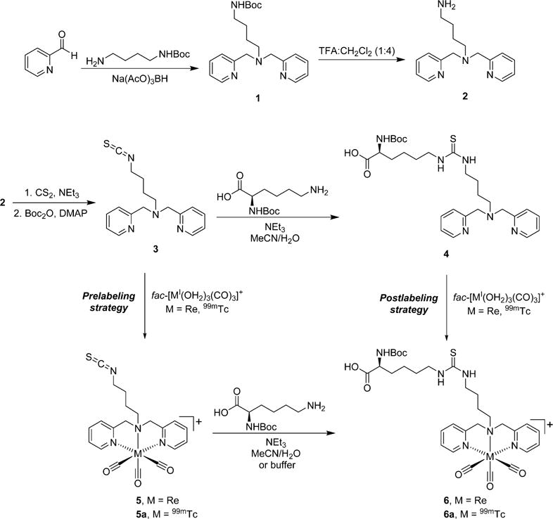 Scheme 1