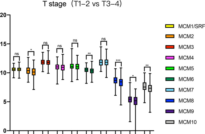 Figure 5