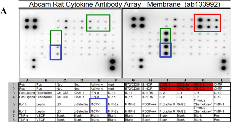 Figure 1A