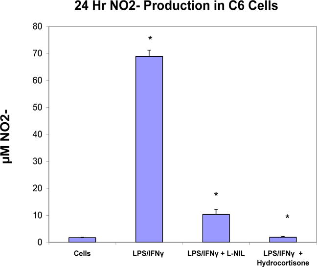 Figure 2A