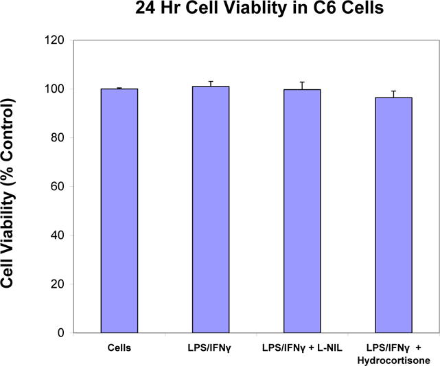 Figure 2B