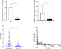 graphic file with name JCLA-36-e24156-g006.jpg