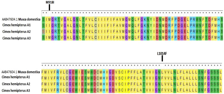 Figure 2.