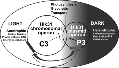 FIG 5