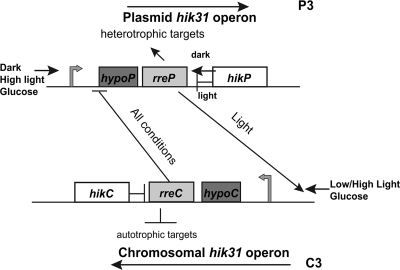 FIG 8