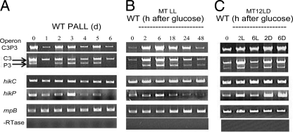 FIG 6