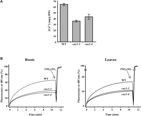 Figure 5.