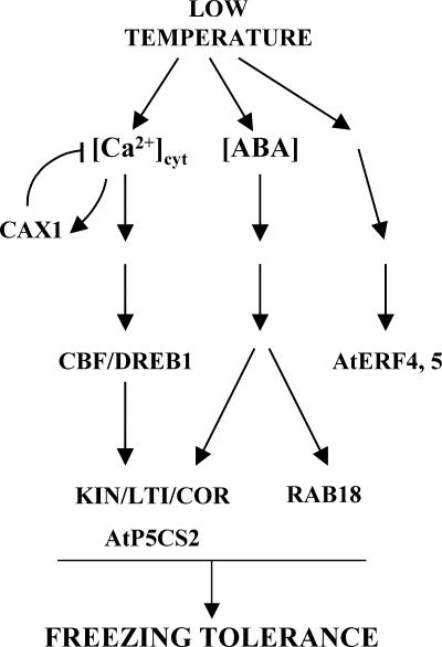 Figure 8.