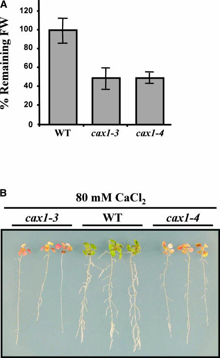 Figure 4.