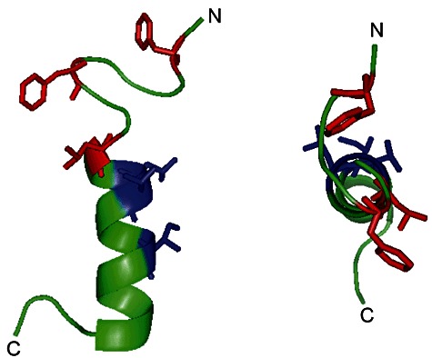 Fig. 9