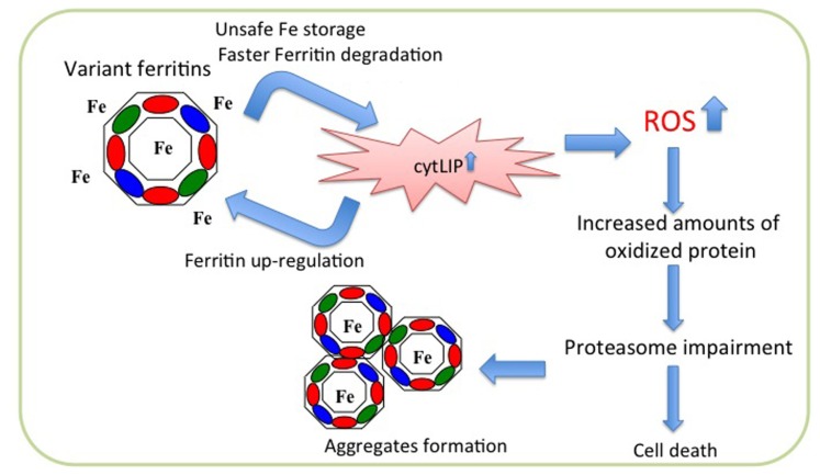 FIGURE 2