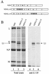 FIG. 1.