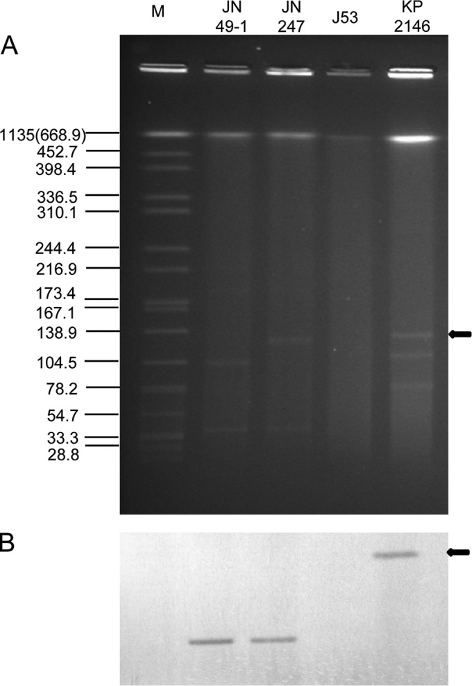 FIG 1