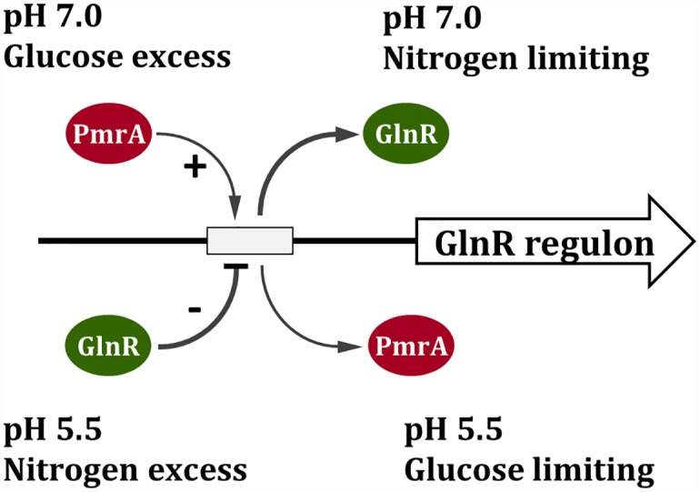 Fig 7