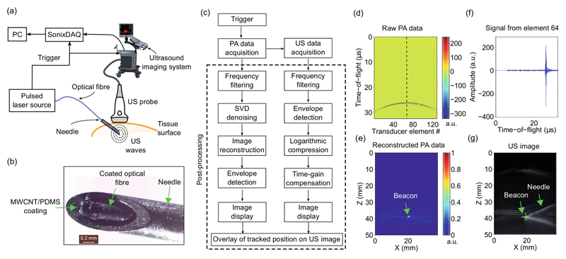 Fig. 1