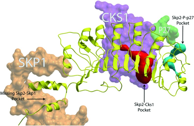 Fig. 2