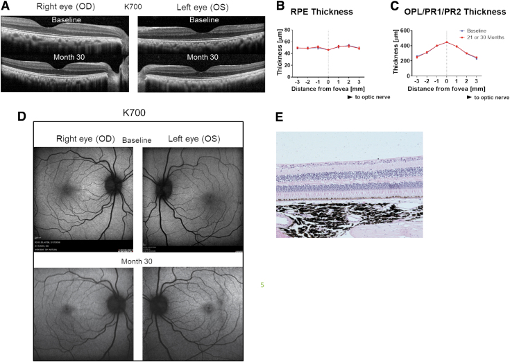 FIG. 8.