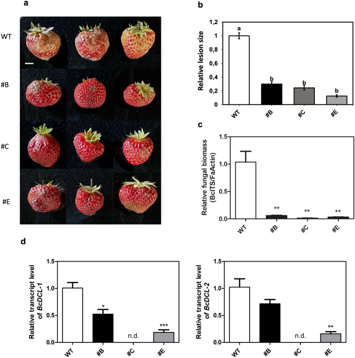 Fig. 6