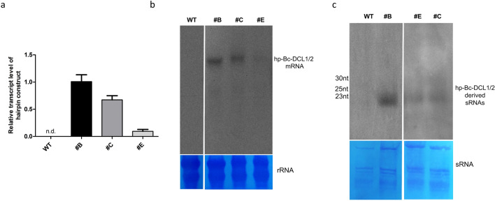 Fig. 3