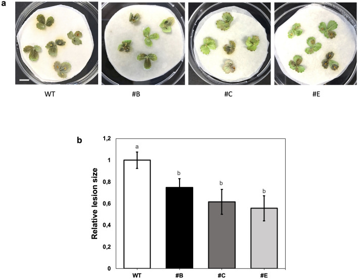 Fig. 4