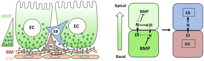 Figure 9.