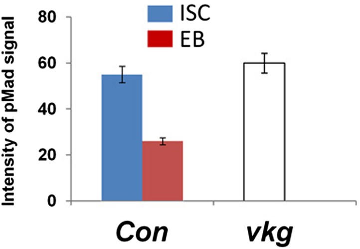 Figure 8—figure supplement 3.