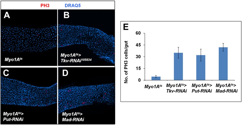 Figure 3—figure supplement 3.