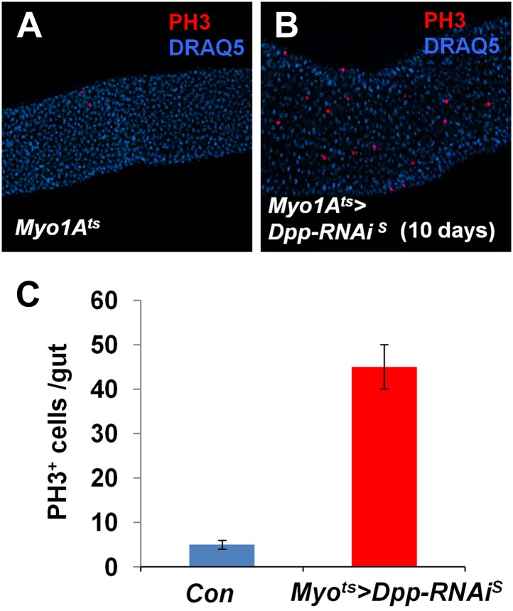 Figure 7—figure supplement 3.