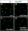 Figure 2—figure supplement 1.