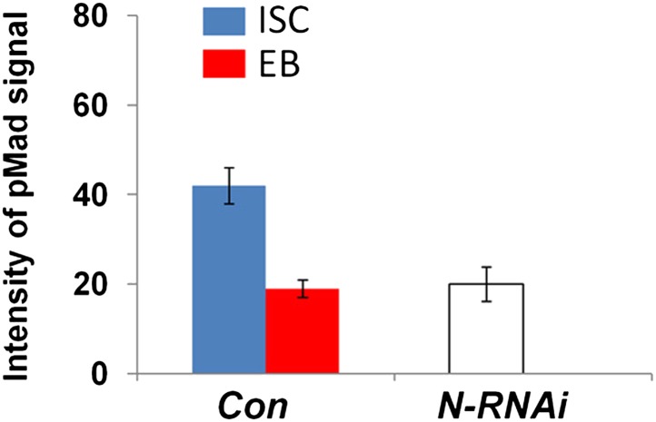 Figure 5—figure supplement 1.