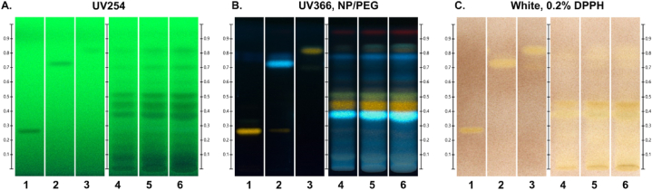 Fig. 3