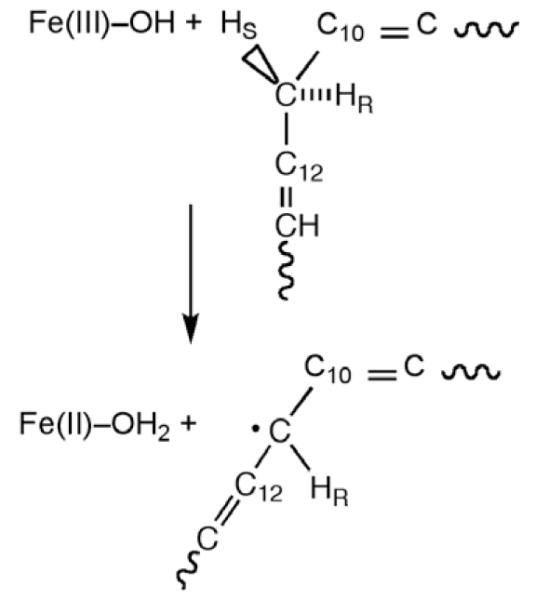 Scheme 6