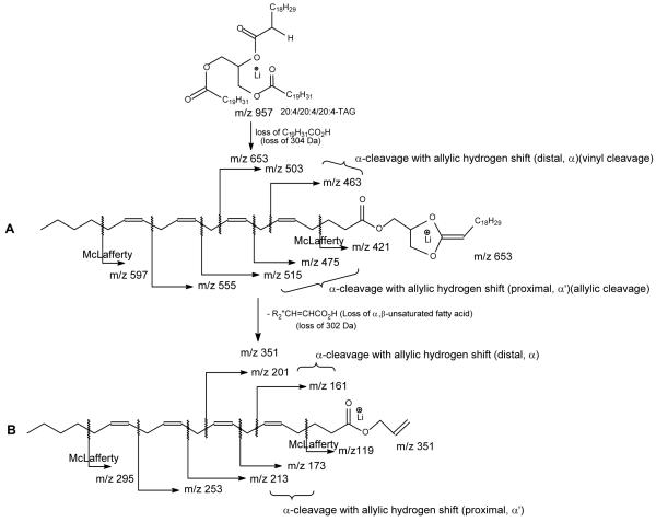 Scheme 3