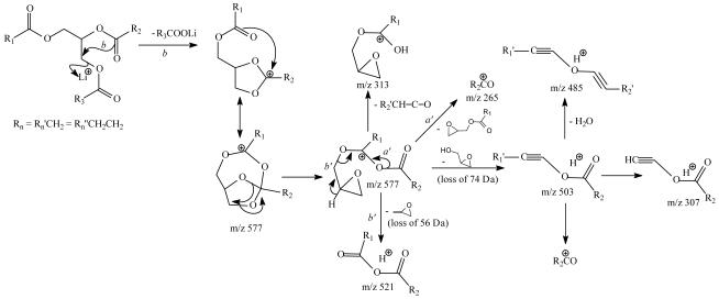 Scheme 2