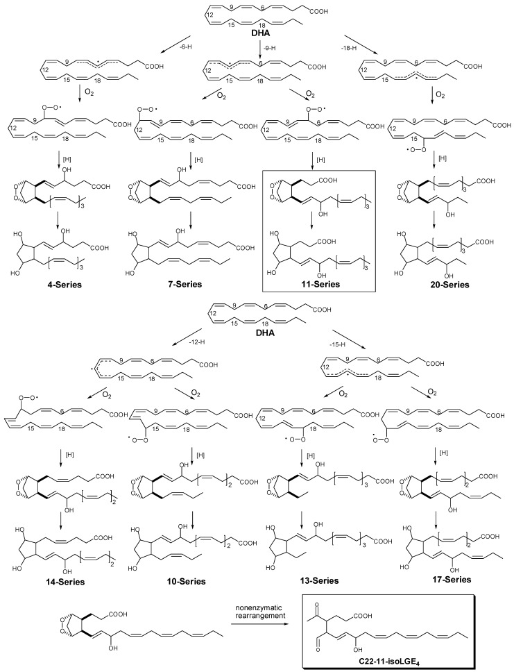 Scheme 3