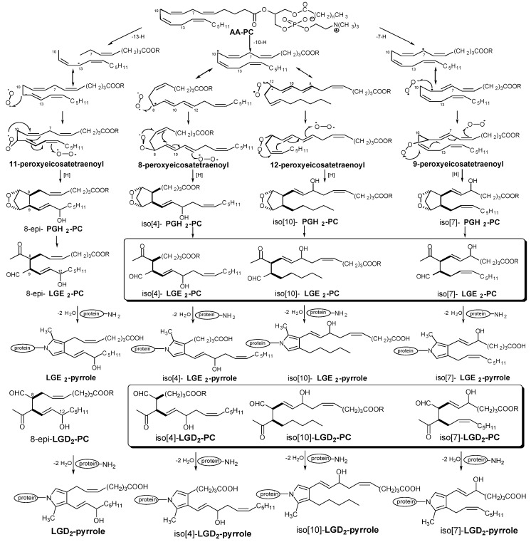 Scheme 2