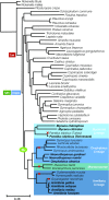 Fig. 2.