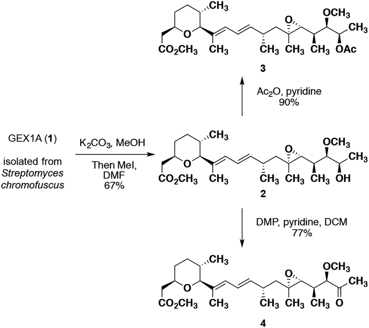 Scheme 1.