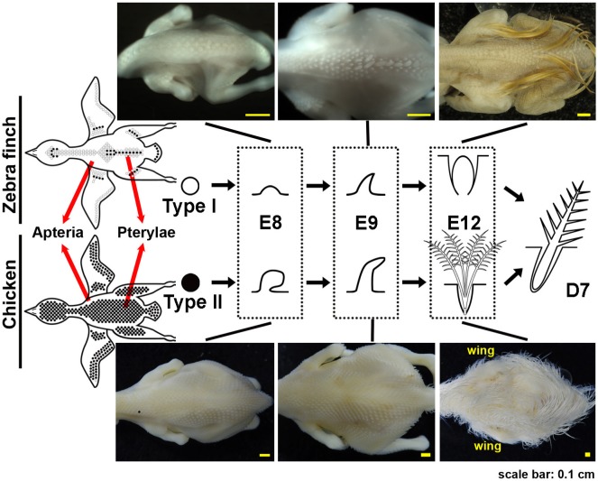 Fig. 2.