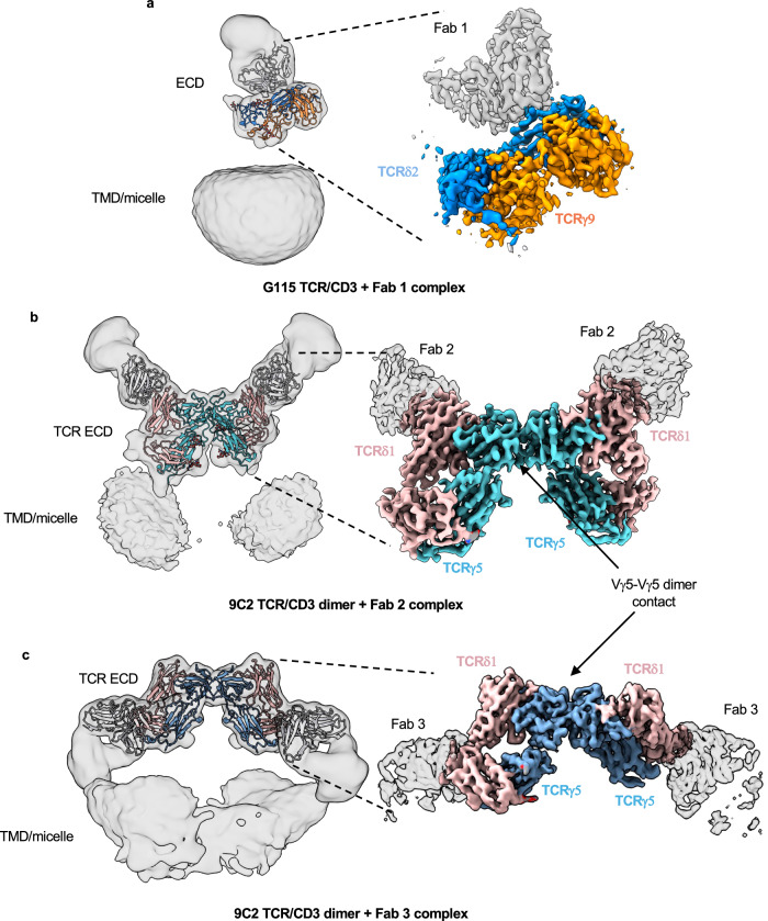 Fig. 3