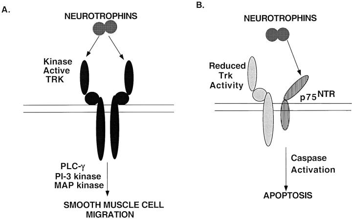 Figure 9.