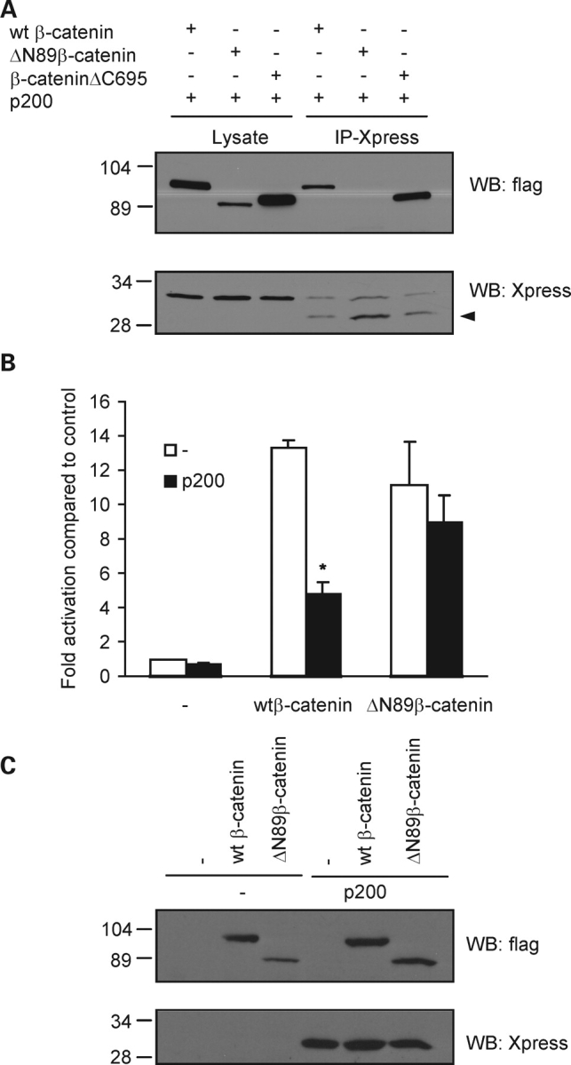 Figure 4.