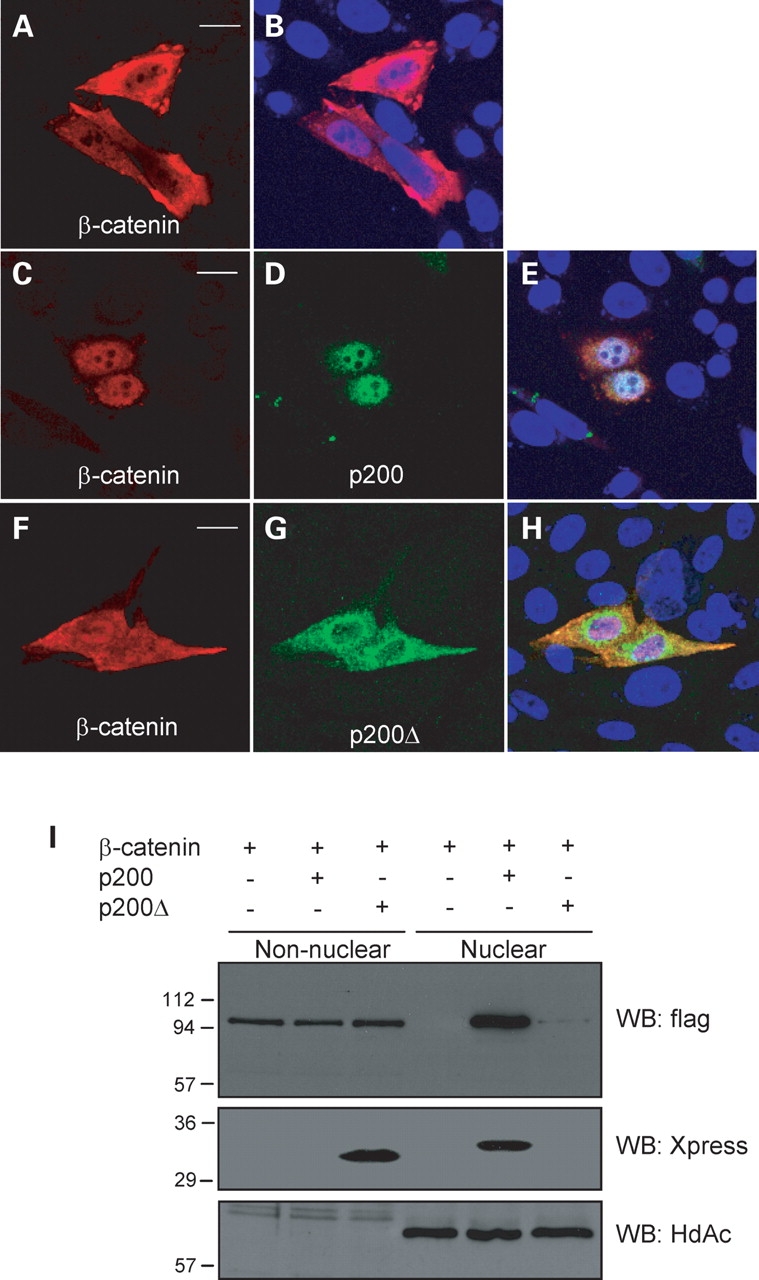 Figure 2.