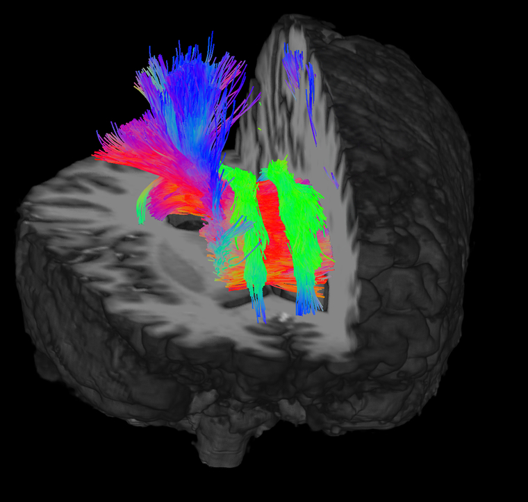 Figure 5: